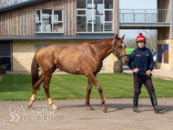 BP200326-56 - It's Hard To Know